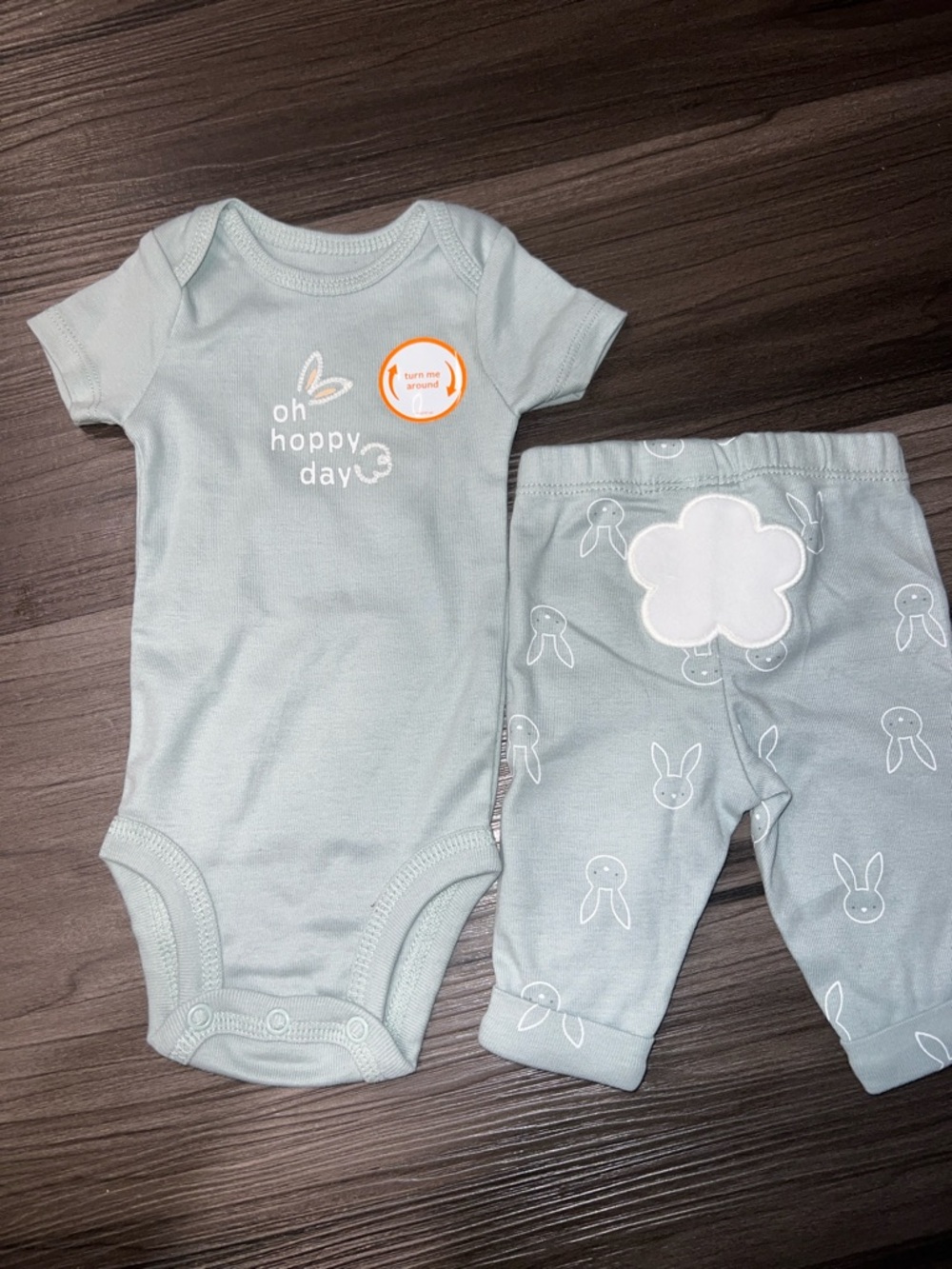 Carter's Light Green Newborn Bodysuit Set with Bunny Graphic